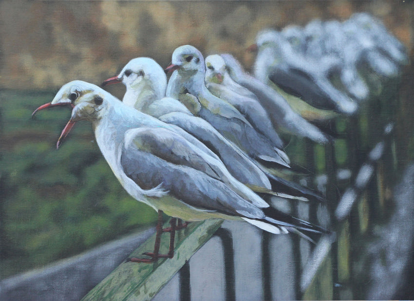All In A Row ( seagulls on fence)