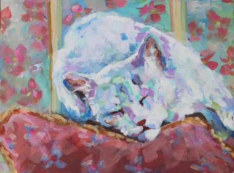 Snoozing (colourful cat on pillow)