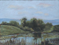 The Pond In The Glen