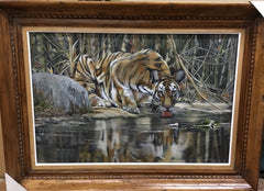 At The Waters Edge  ( Tiger)