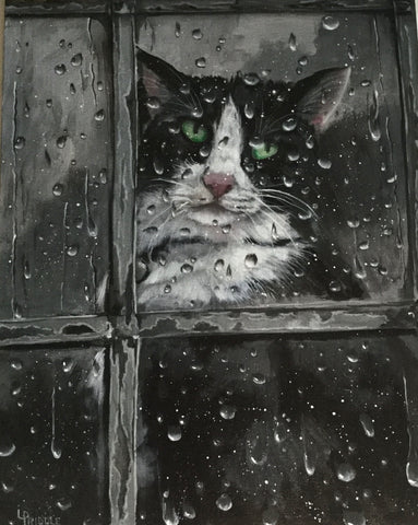 Watching the rain